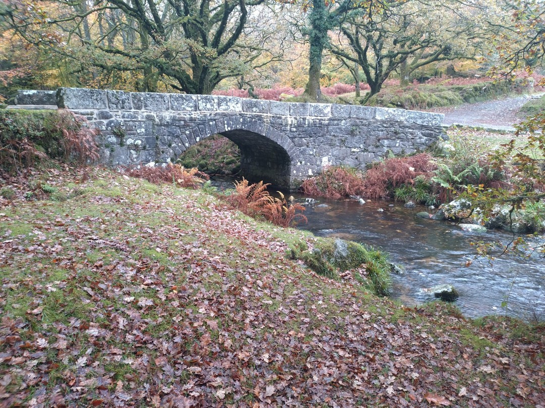 Burrator Reservoir-Yelverton必去景点