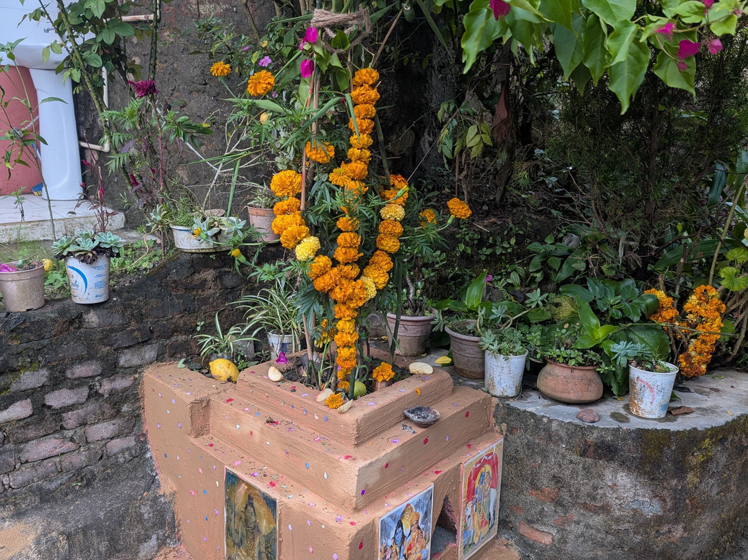 Osho Divine Zone-加德满都必去景点