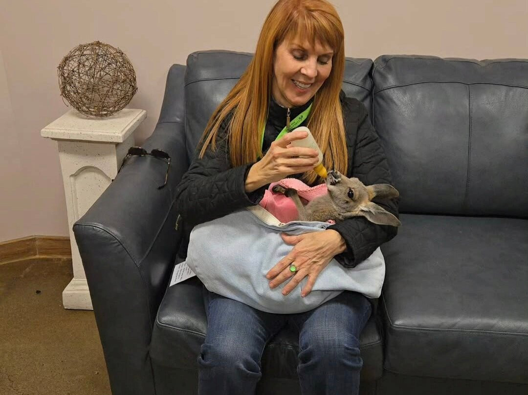 Tanganyika Wildlife Park-Goddard必去景点