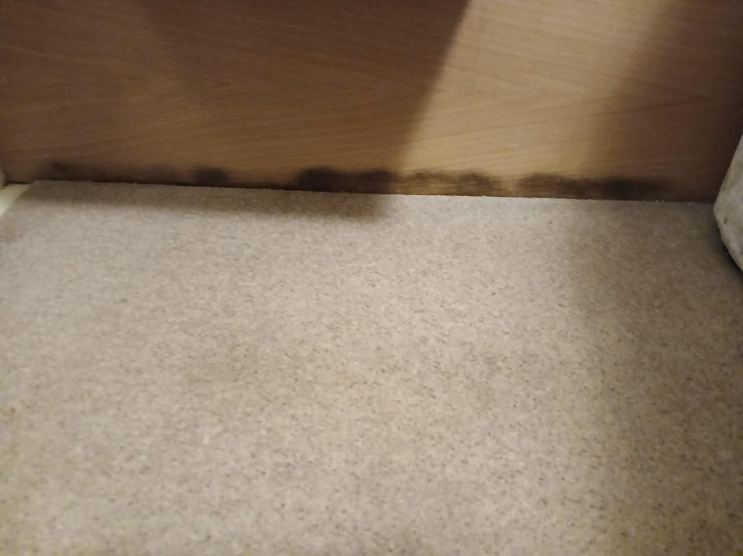 The Kings Head Hotel主图