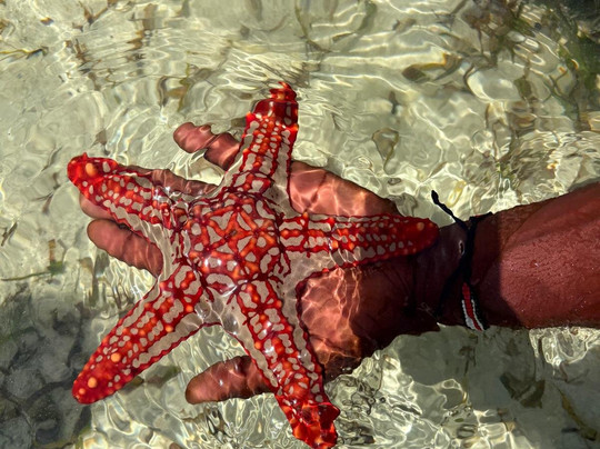 John Nyale Tours & Safari Experience