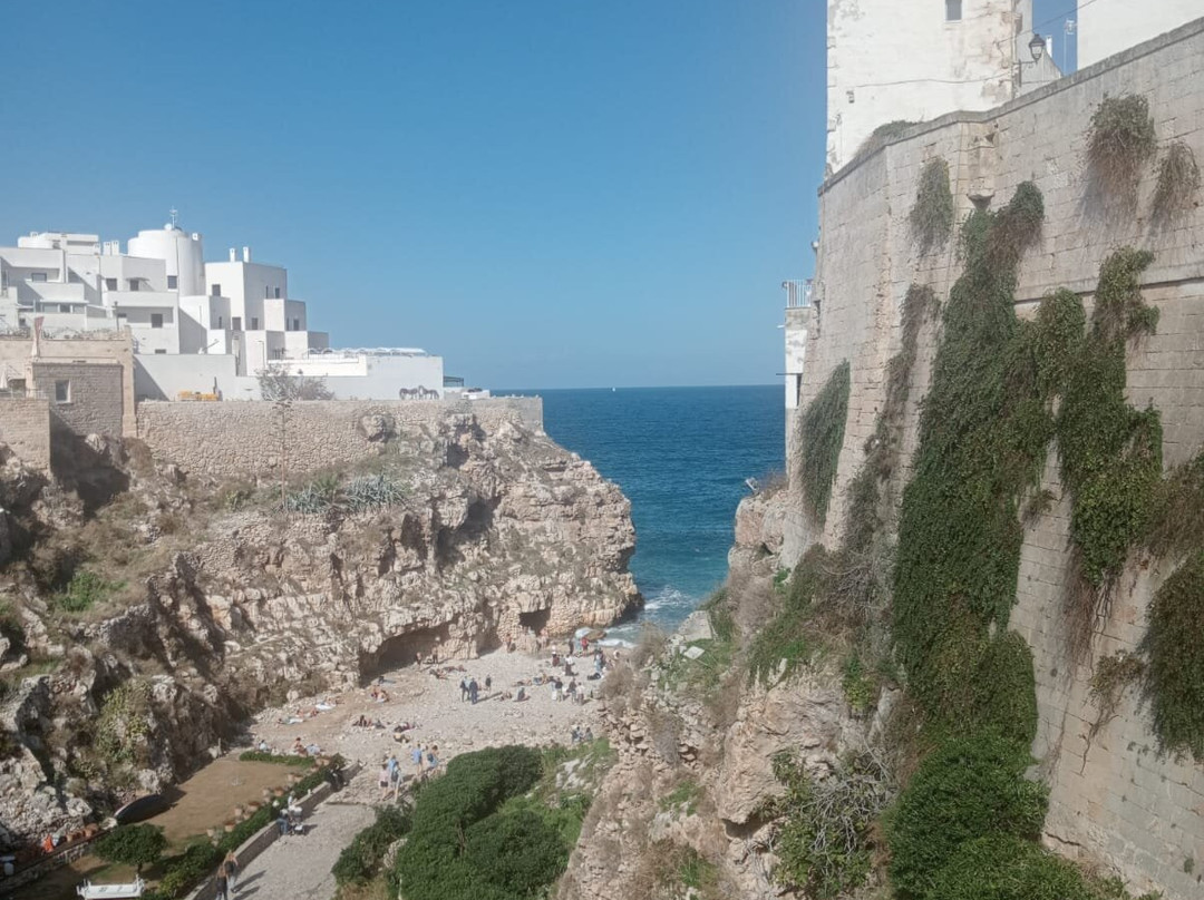 Ponte Borbonico di Lama Monachile-波利尼亚诺阿马雷必去景点