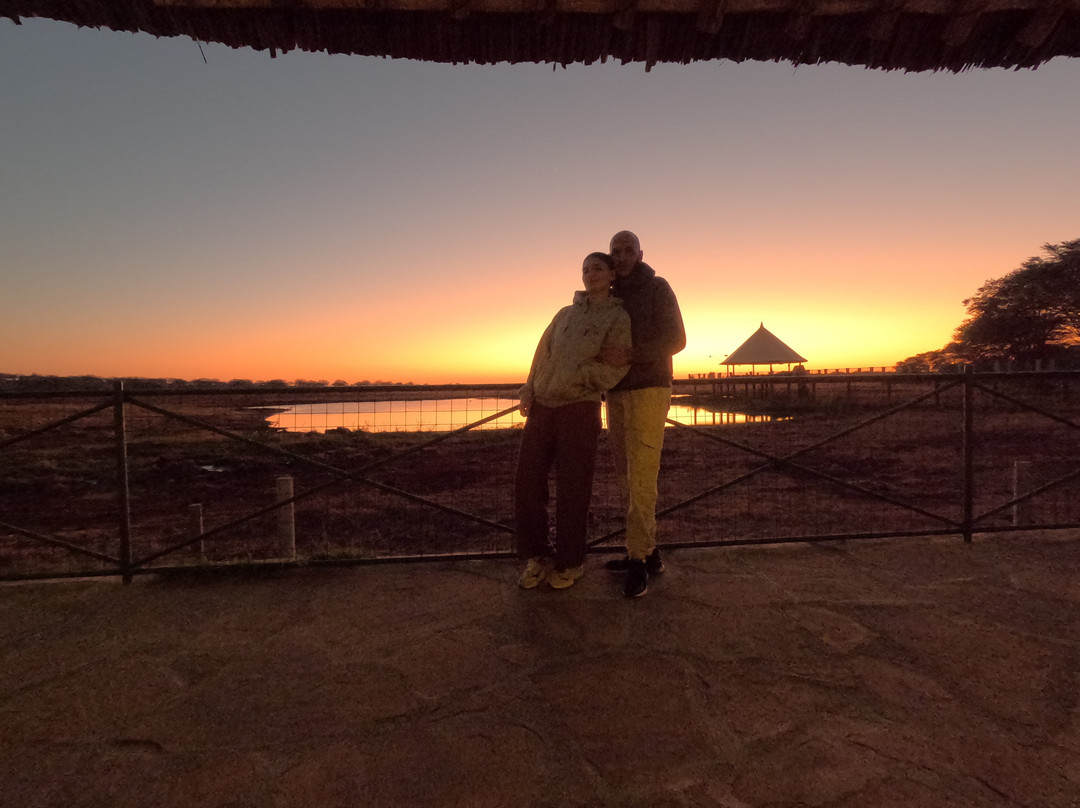 SavanaBeat - Safari & Tour in Kenya