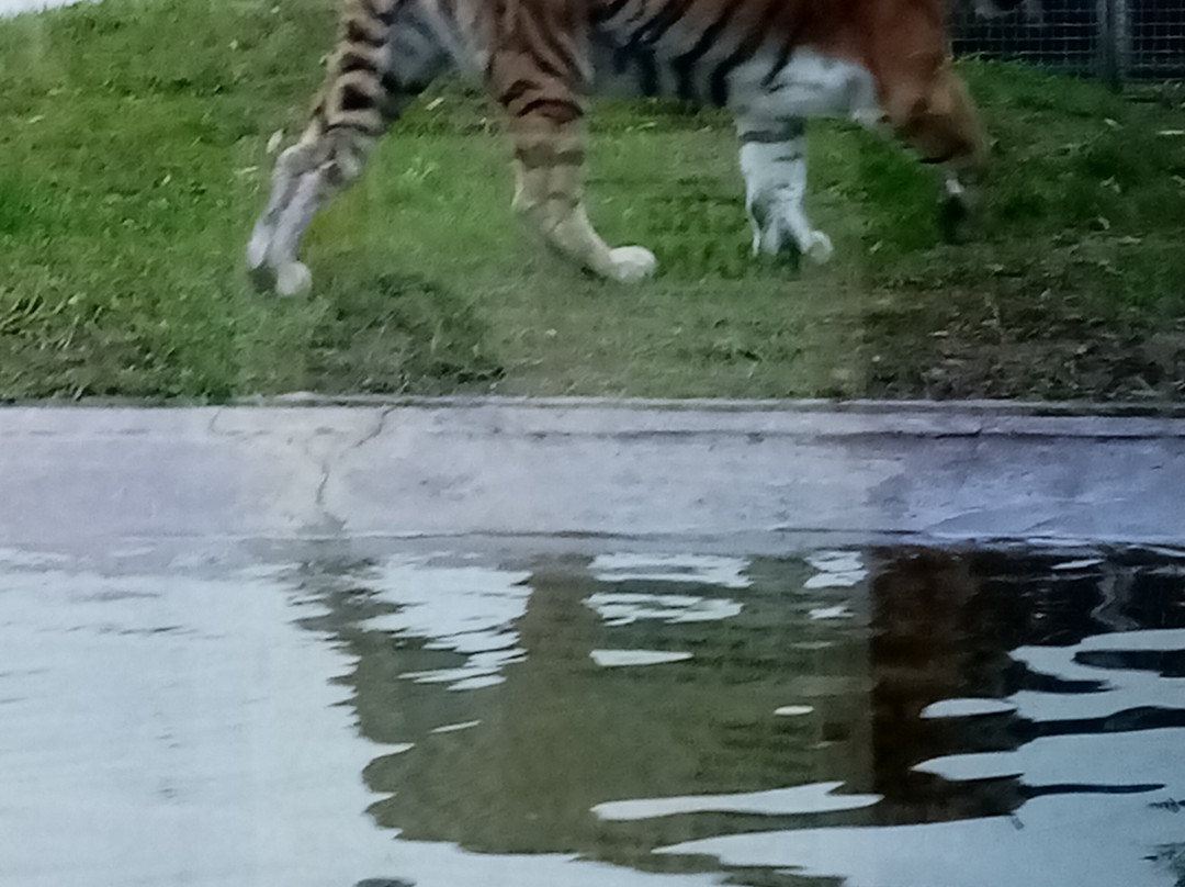 Zoo da Maia-Maia必去景点