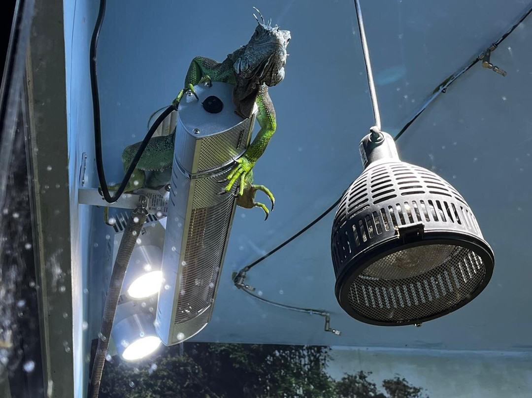 Acquario Di Livorno-里窝那必去景点