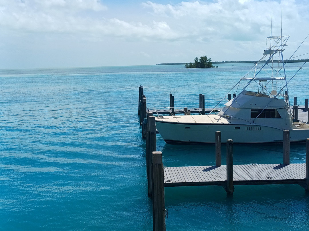 Sea Crest Hotel and Marina主图