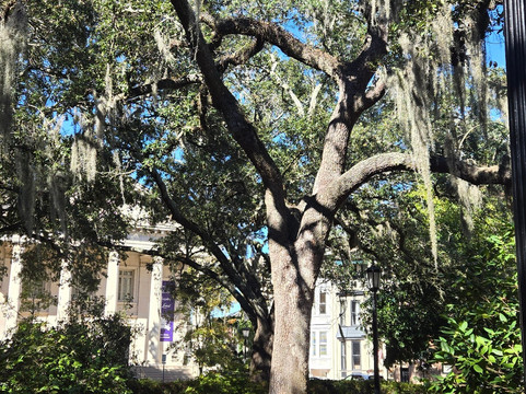 Free Savannah Tours-萨凡纳必去景点