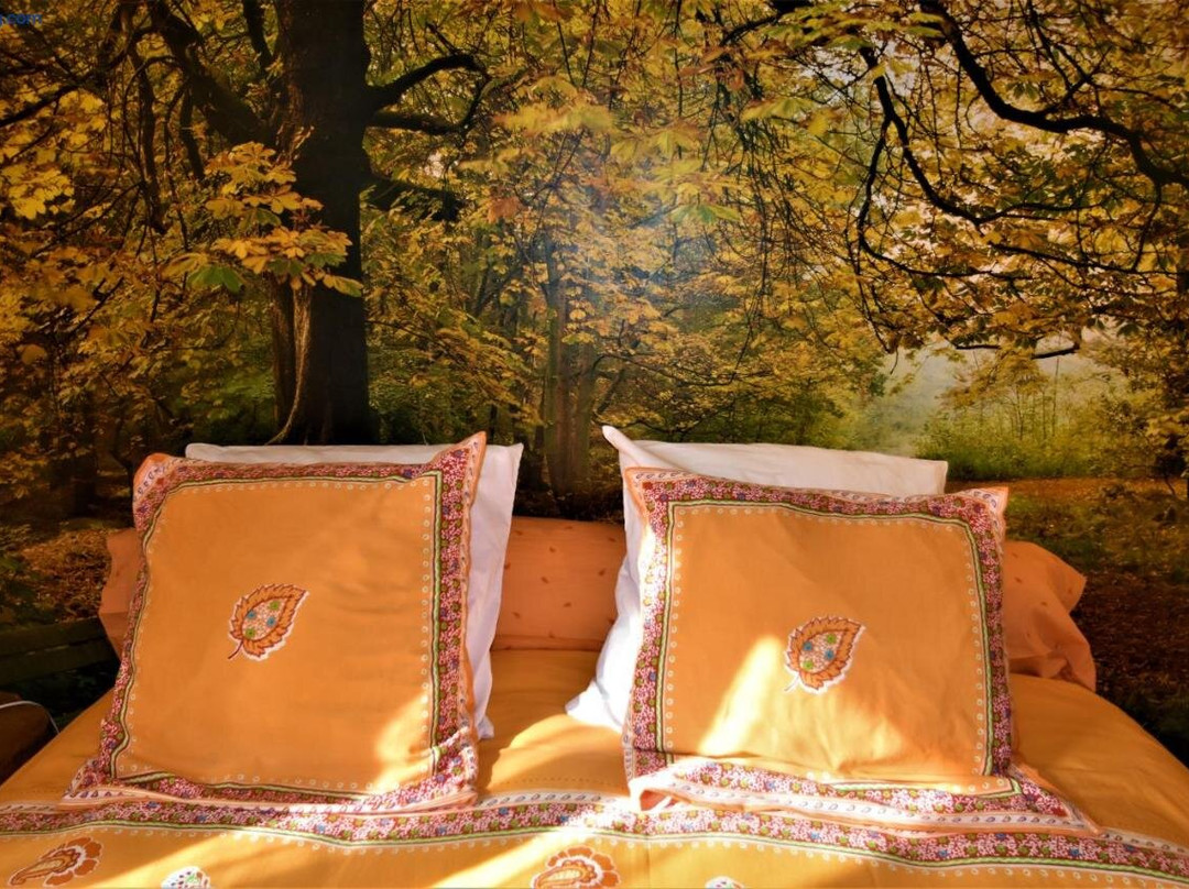 Habay-la-Neuve酒店住宿-Au fil des saisons sur la Wiels