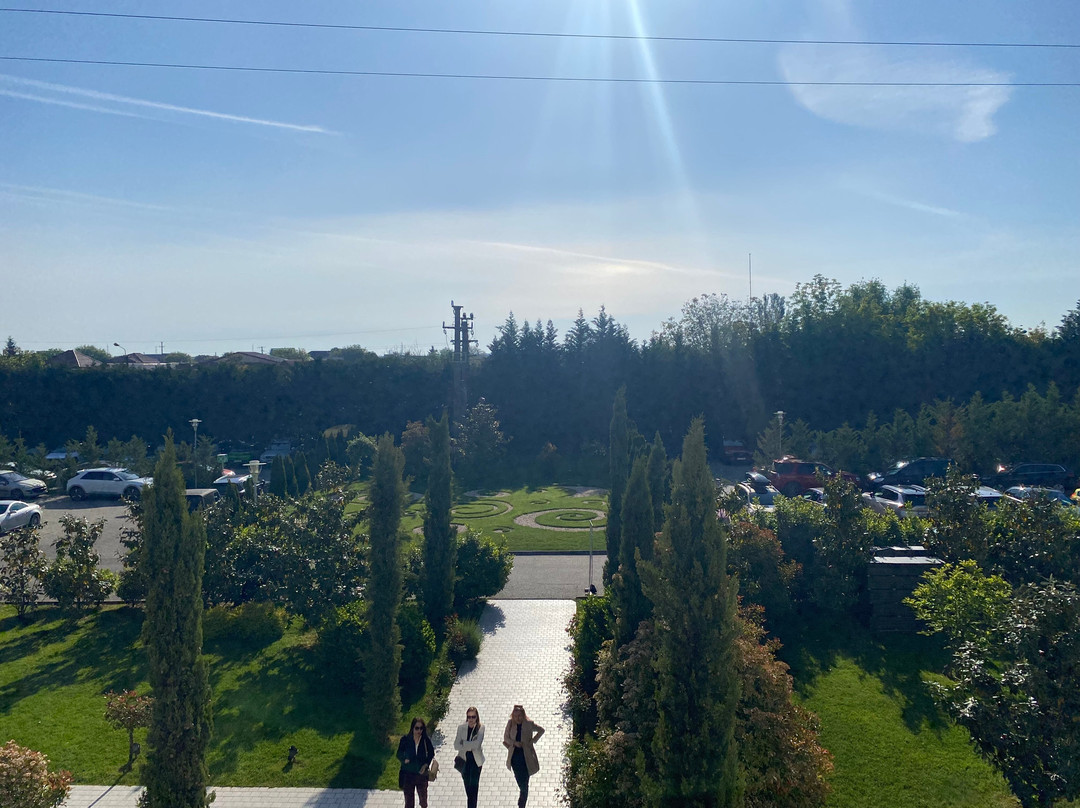 Tresor Le Palais Timisoara, Curio Collection By Hilton主图