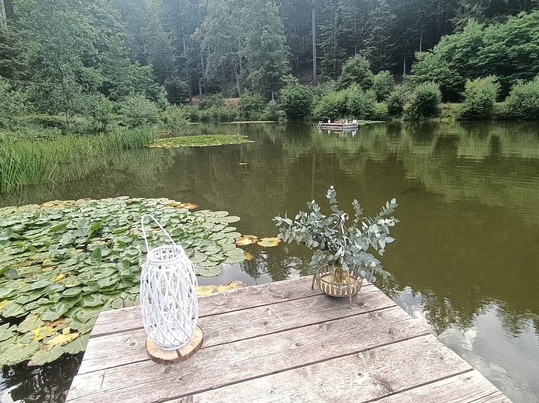 Die Heilsbach Gmbh