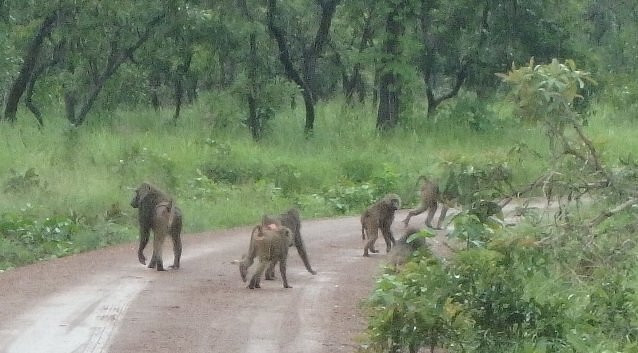 Larabanga Mosque-Larabanga必去景点