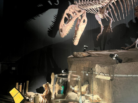 Dinosaur Trips-卡尔加里必去景点