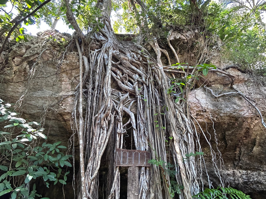 Tulum Private Tours-图伦必去景点