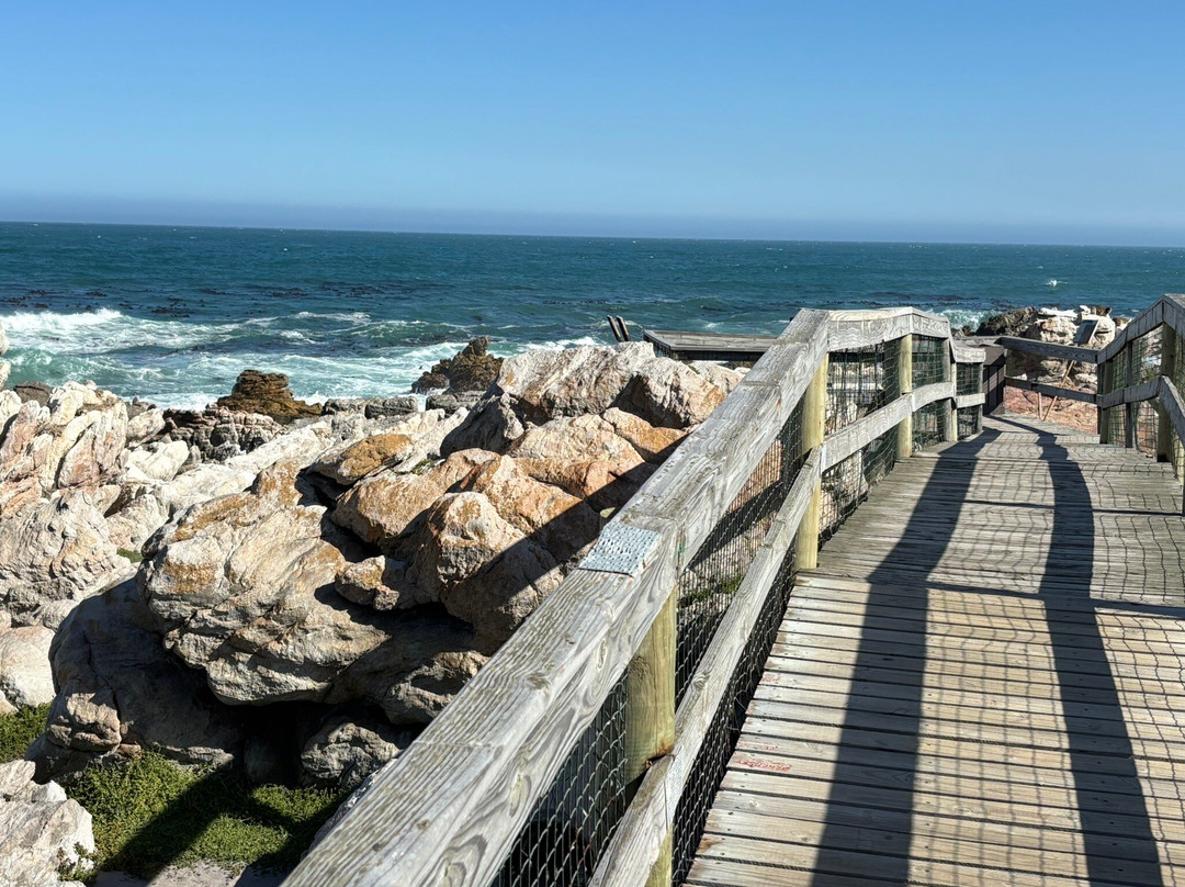 Kleinmond Beach-小月必去景点