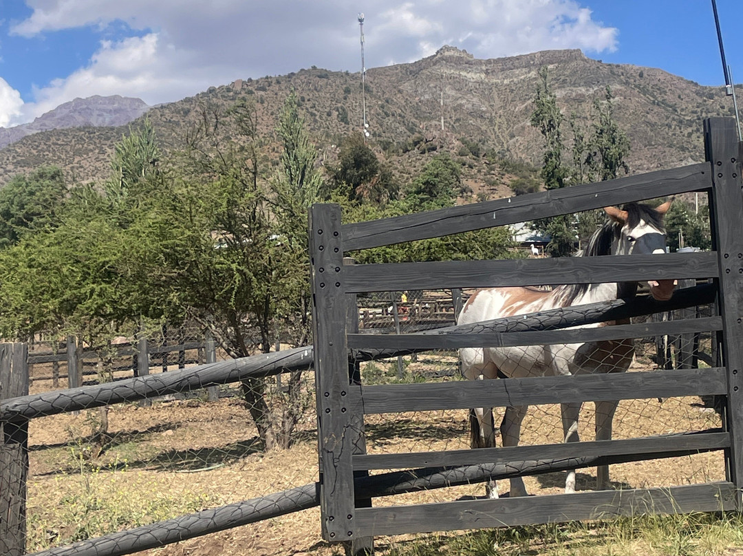 San Francisco Lodge主图