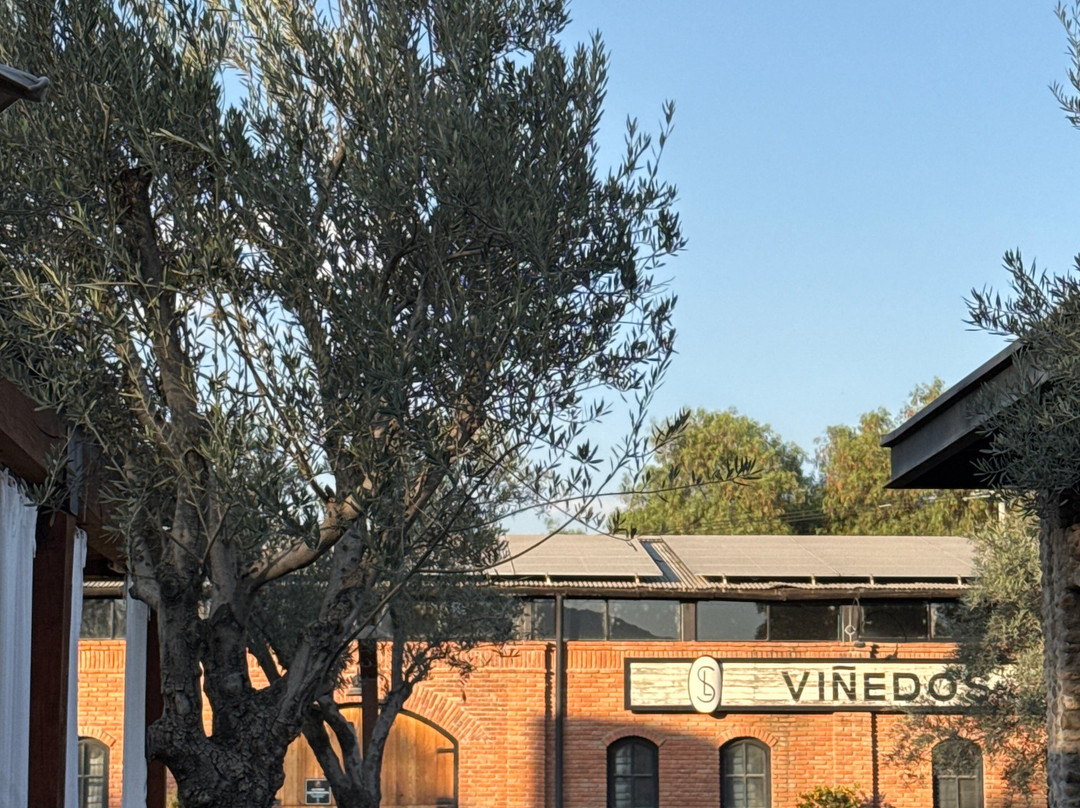 Viñedos San Lucas主图