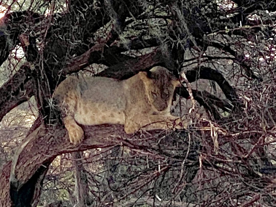 Aqua Paradise Safaris Day Tours-乌库达必去景点