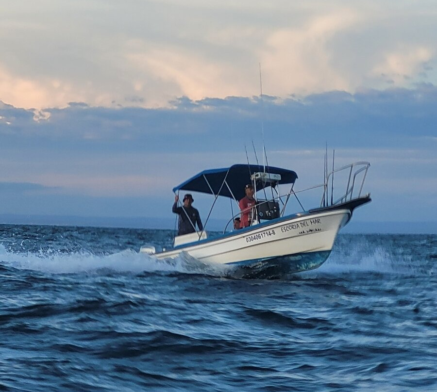 Tailhunter International Sportfishing-拉巴斯必去景点