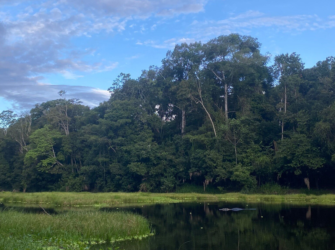 Tapiche Jungle Reserve-伊基托斯必去景点