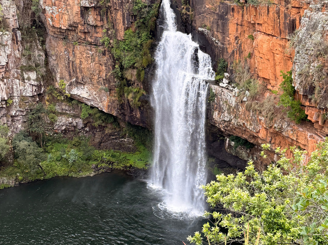 Rhino Africa Safaris-开普敦中心区必去景点