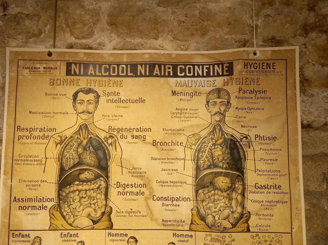 Musée des Commerces d'autrefois-罗什福尔必去景点