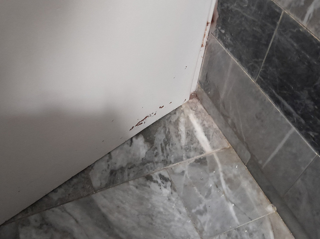 米缇莱那田园酒店主图