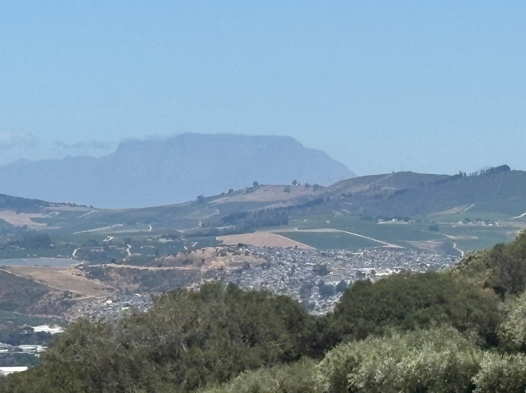 Tokara Wine Estate-斯泰伦博斯必去景点
