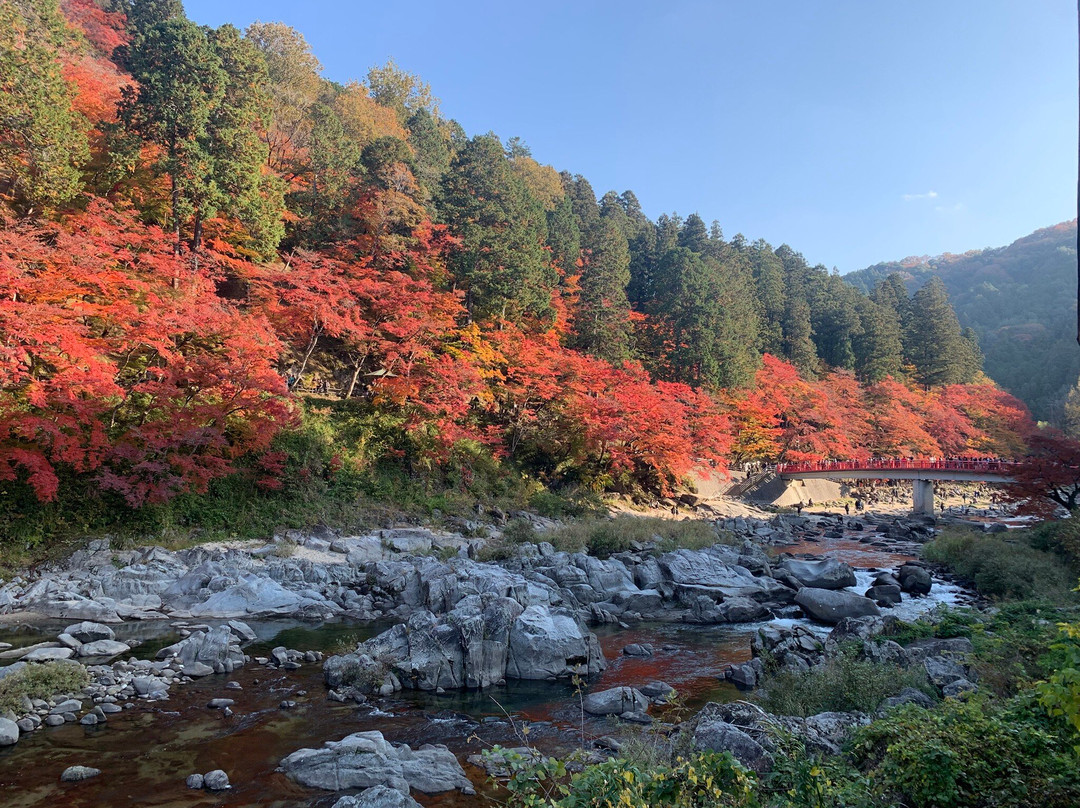 Koran Valley-丰田市必去景点