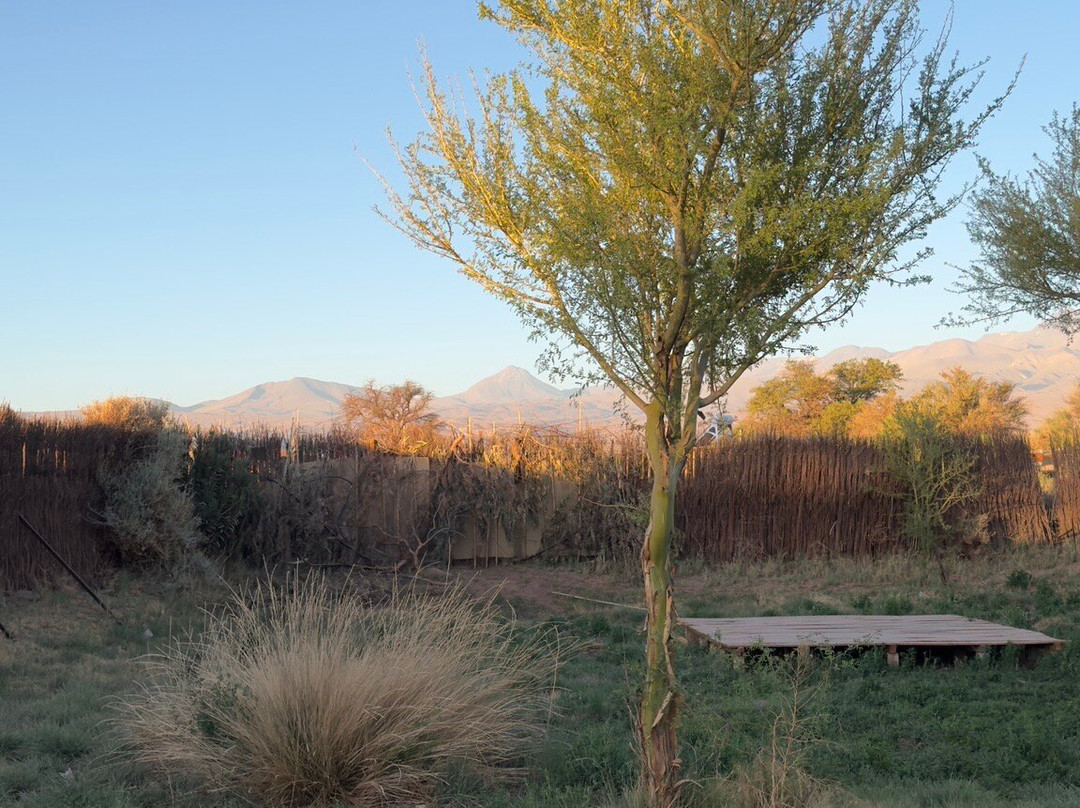 Sami Atacama Lodge主图