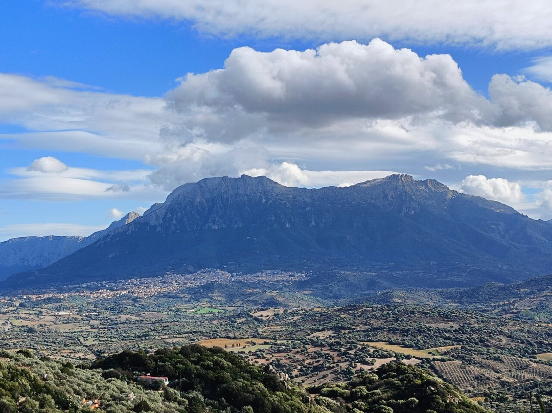 Ristorante Su Pinnettu Nuoro Dftbg