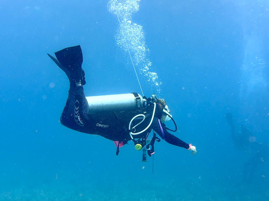 Tank-ha Dive Center-普拉亚德尔卡曼必去景点