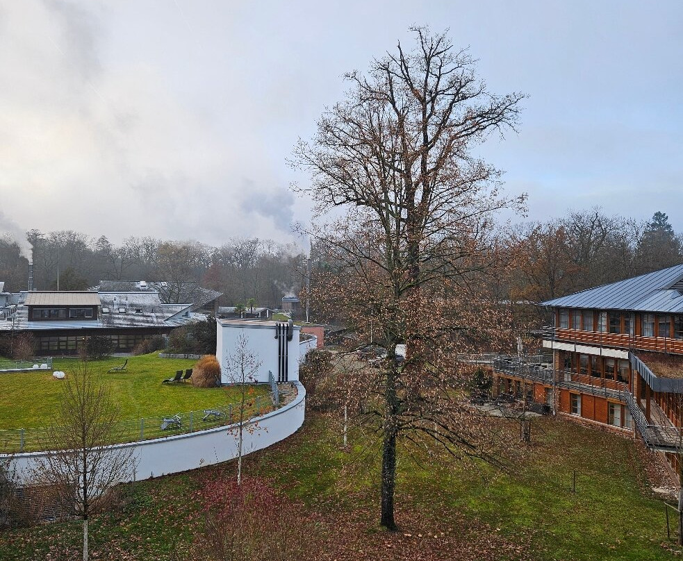 Dorint Thermenhotel Freiburg主图