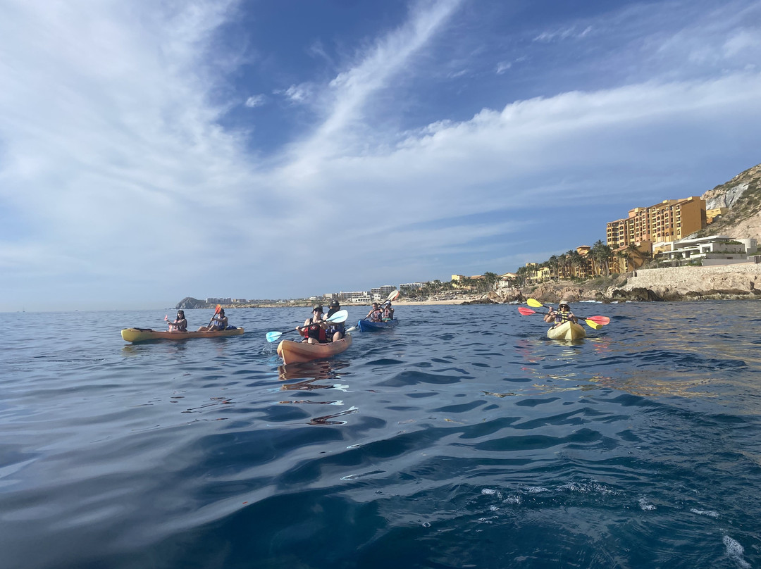 Cabo Outfitters-卡波圣卢卡斯必去景点