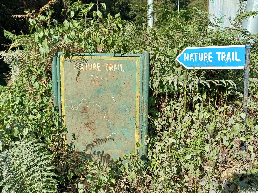 Nagarkot Nature Trail-纳加阔特必去景点