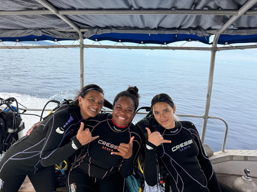 花园岛度假村主图