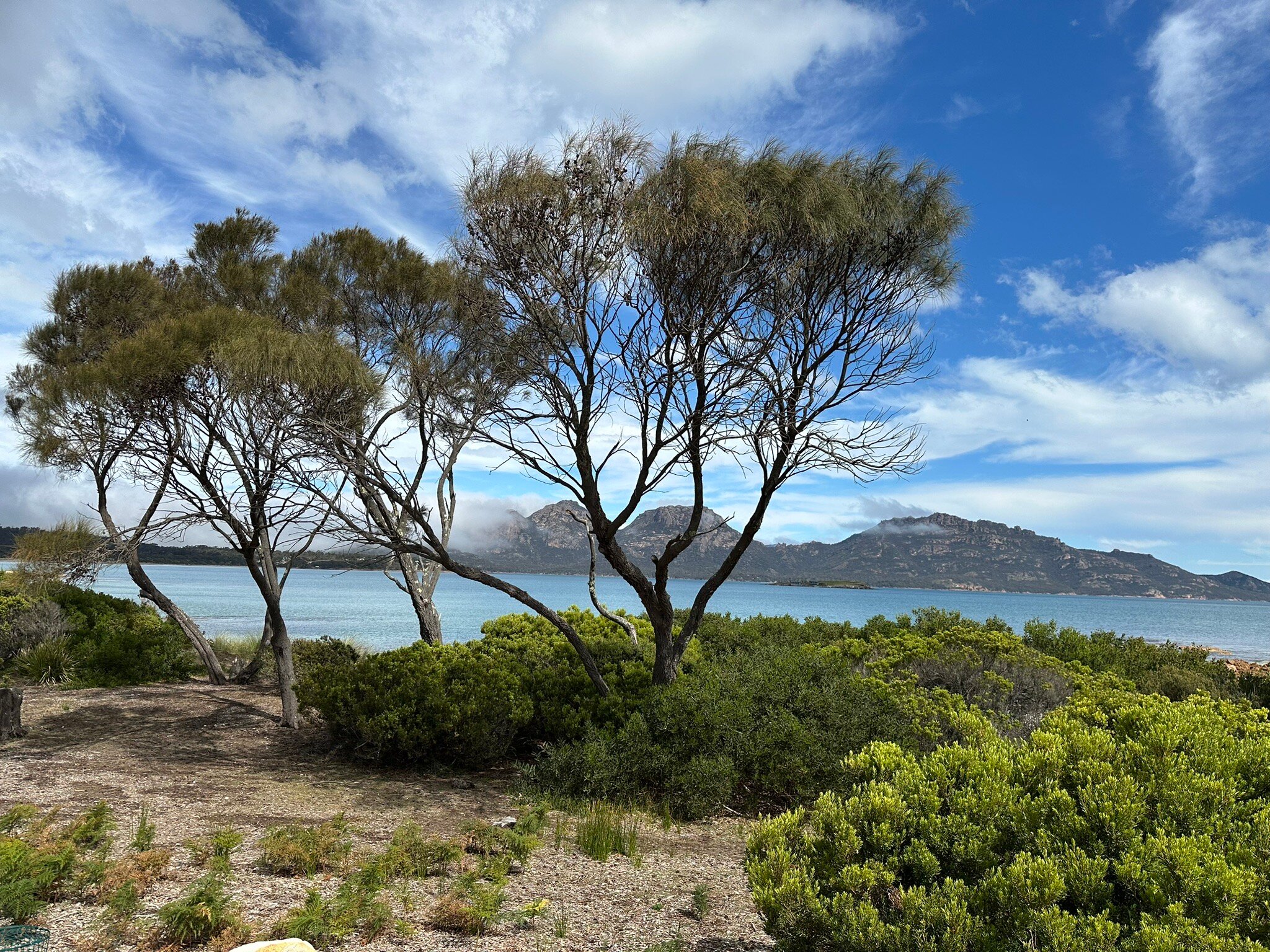 海湾边缘度假村-官方