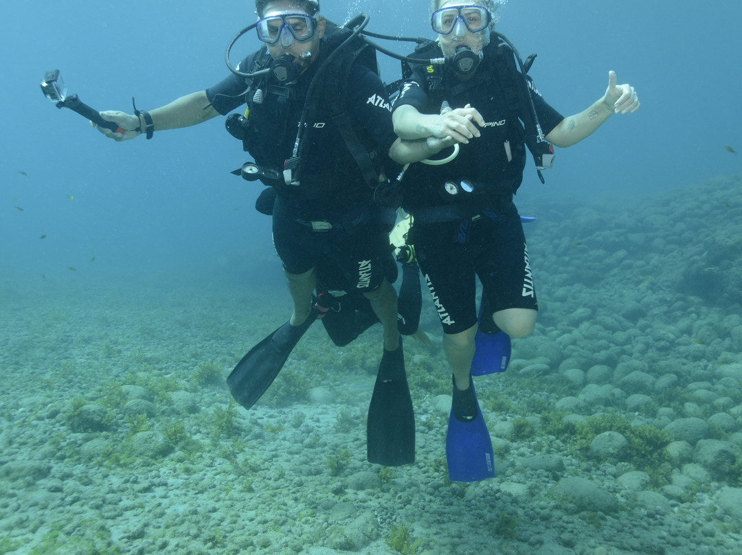 Atlantis Divers-费尔南多-迪诺罗尼亚群岛必去景点