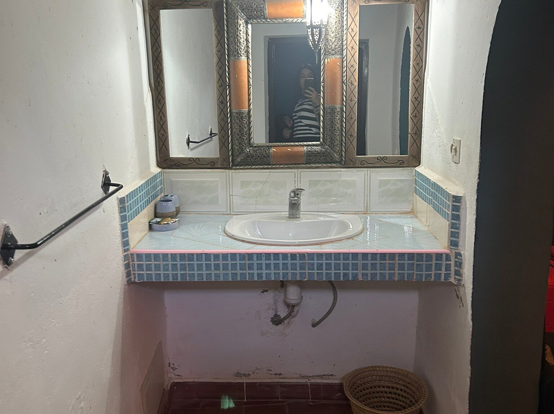 Kasbah Dar essalam Skoura主图