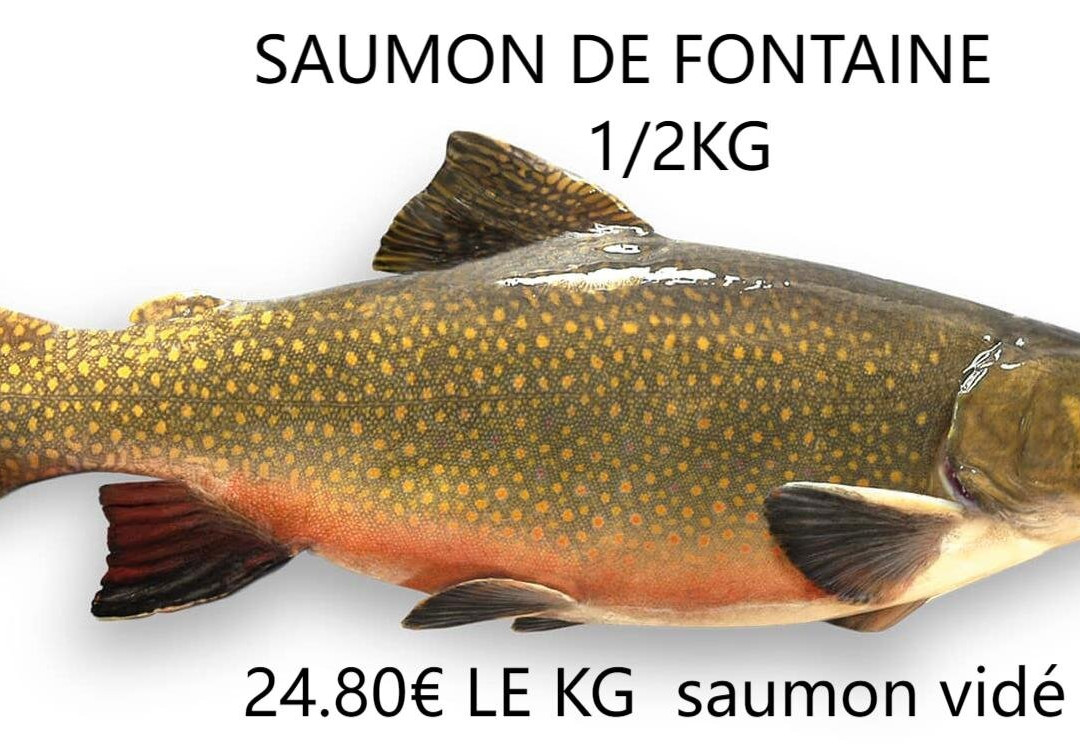 Pisciculture de Signes / Les sources du Gapeau-Signes必去景点