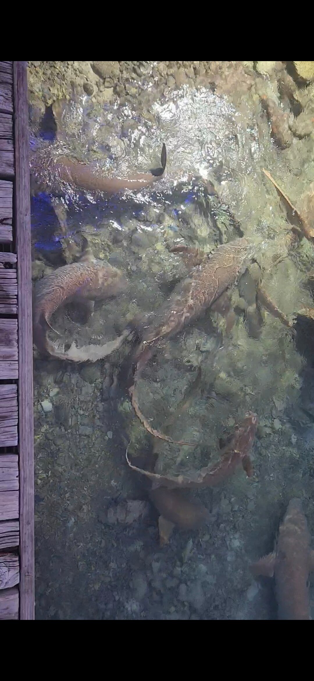 马尔代夫森塔拉豪华温泉度假岛-浴室