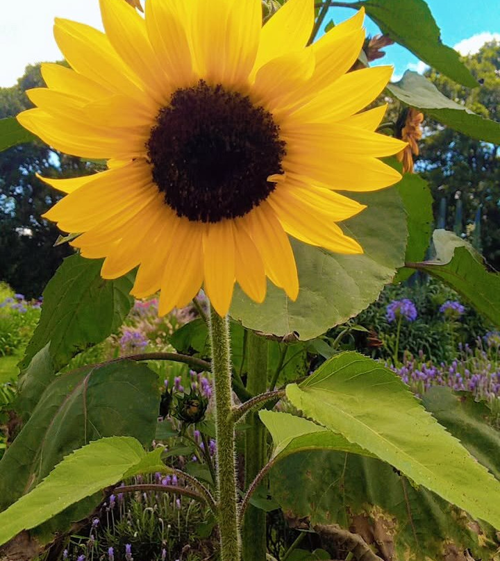 Sensory Garden Kenya-黎木鲁必去景点