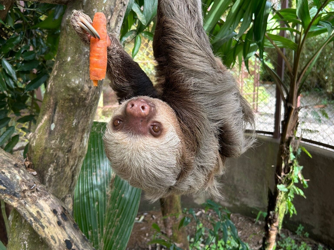 Alturas Wildlife Sanctuary-主日镇必去景点