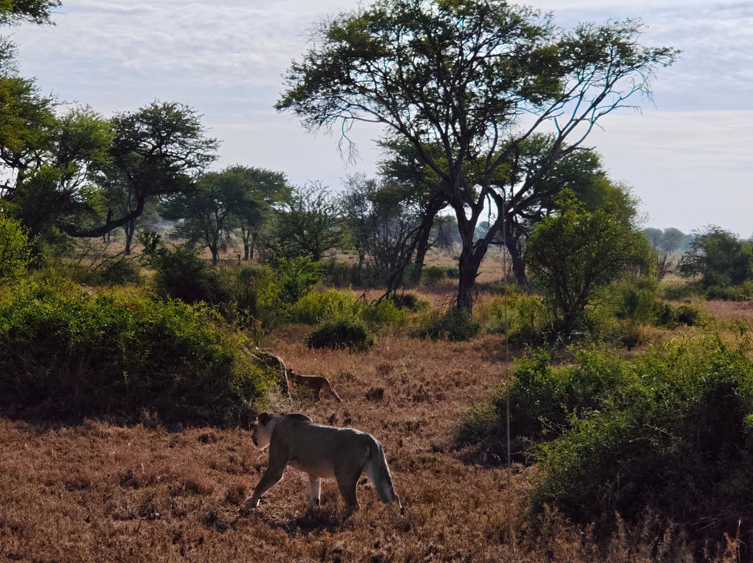 OSOTUA TENTED CAMPS-Ikoma必去景点