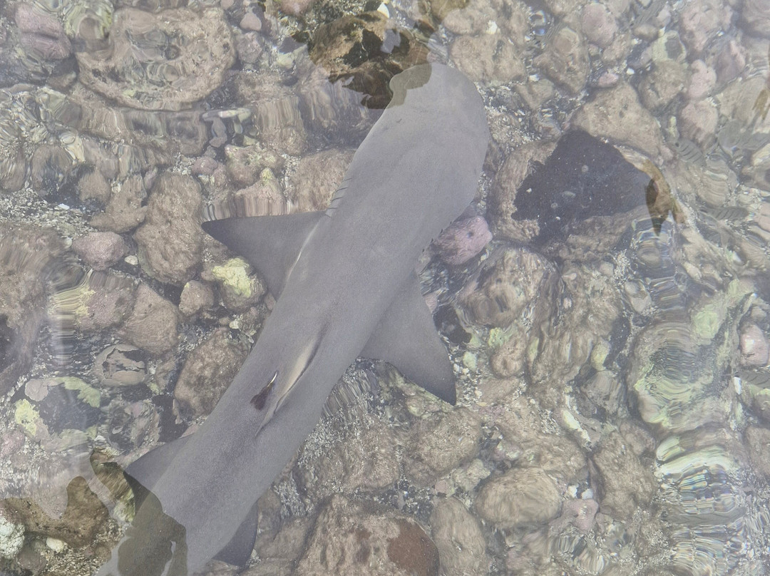 Explore Cape Verde-圣塔玛丽亚必去景点