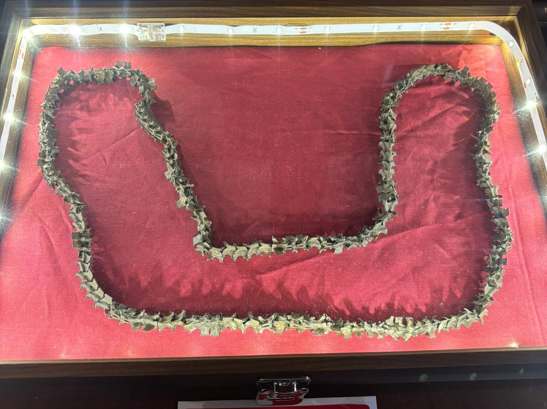 Rowtons' Museum Of The Paranormal and Spirituality-喀麦登必去景点