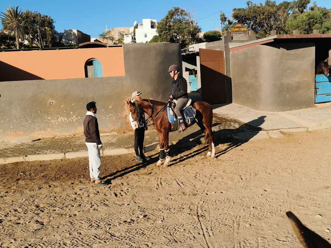 Mogador Horse-Diabat必去景点