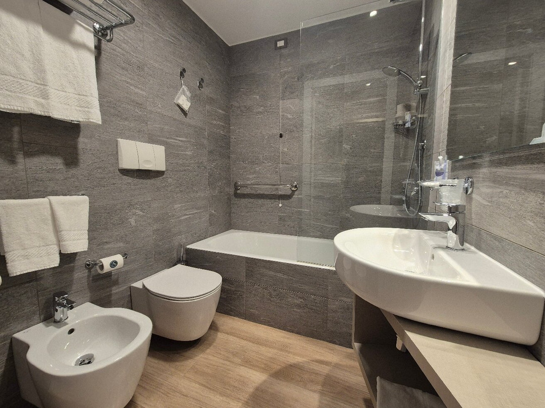 Airport Hotel Bergamo主图