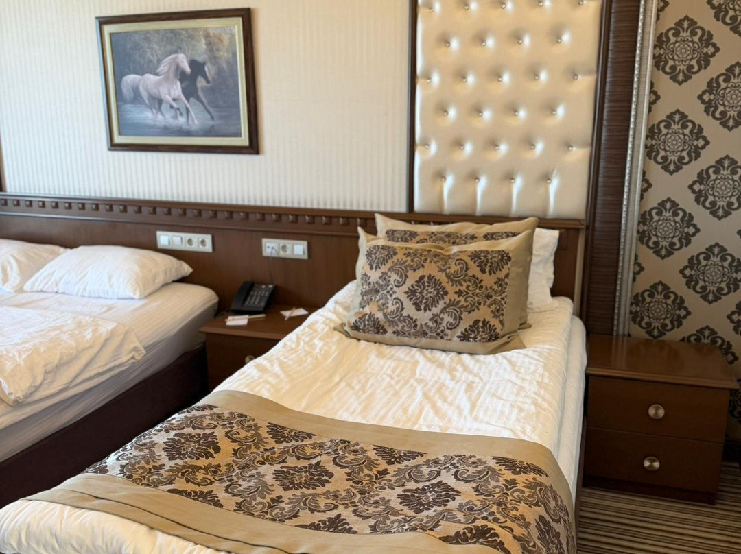 Grand Altuntas Hotel主图