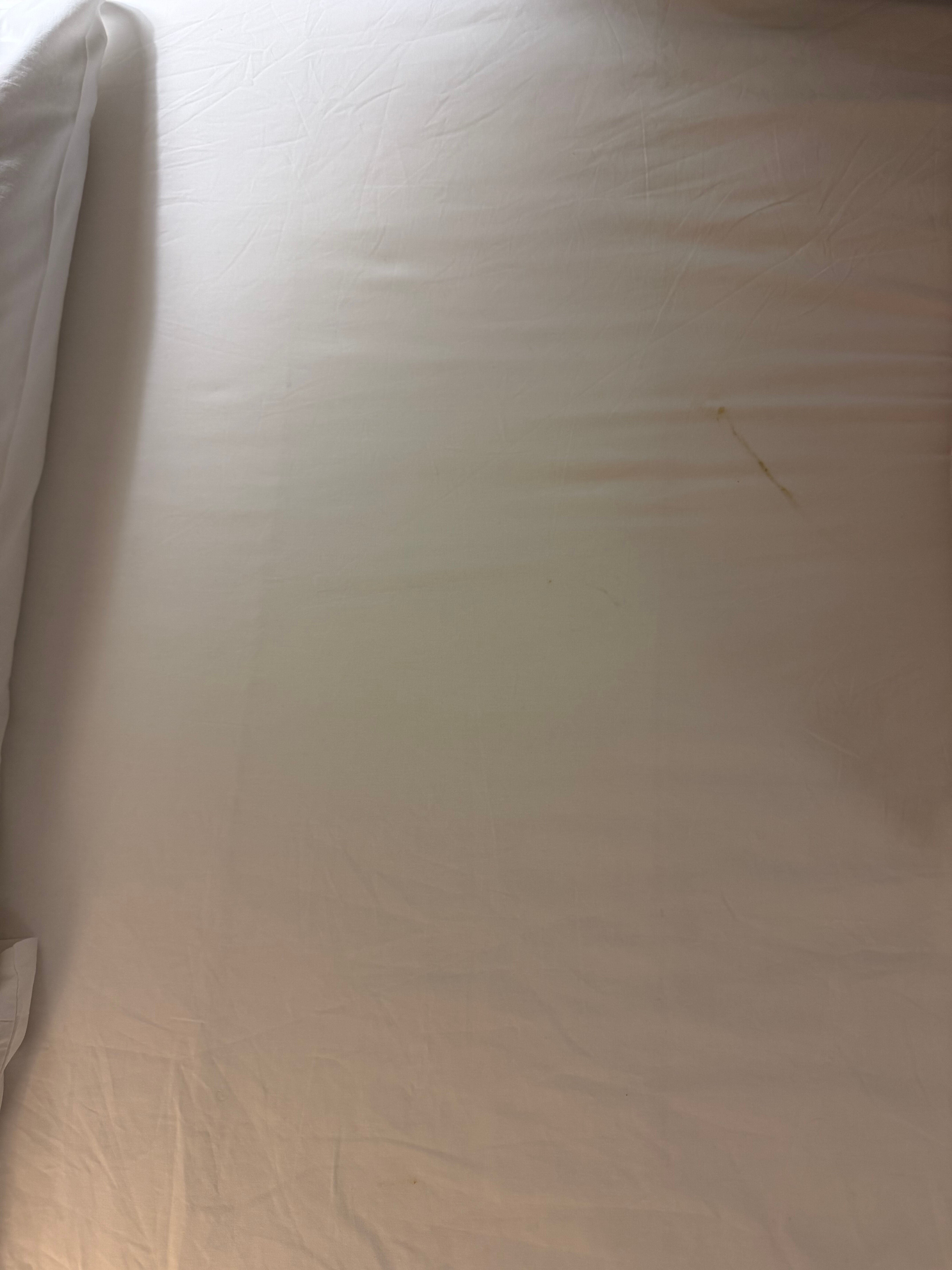 图里亚酒店-官方