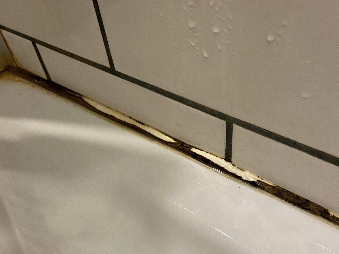 Eklo Hotels Lille主图